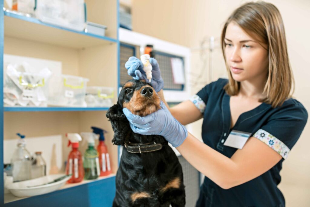 Vet Poison Control
