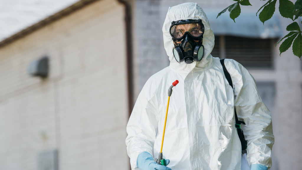 Why Spiders Enter Homes Before Winter