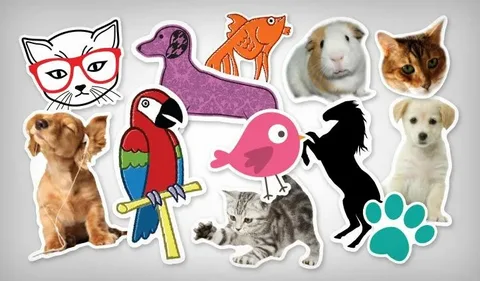 Custom Pet Stickers for Personal & Business Use