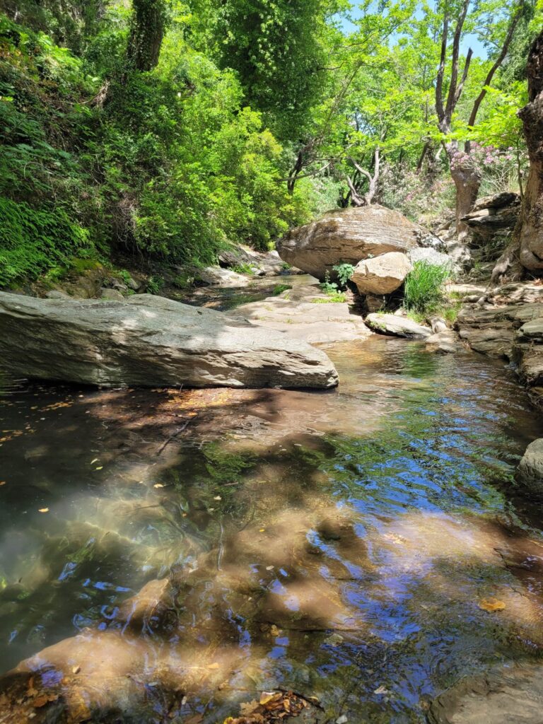 Investing in Greece.