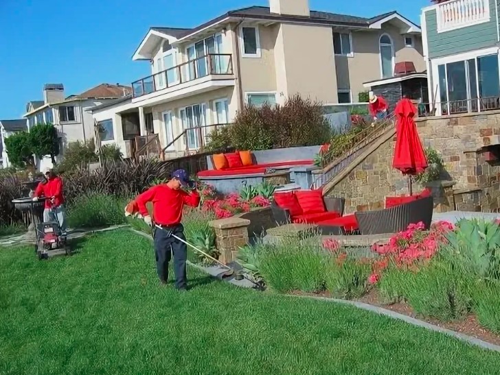 Transforming Outdoor Spaces with Professional Landscape Design Services