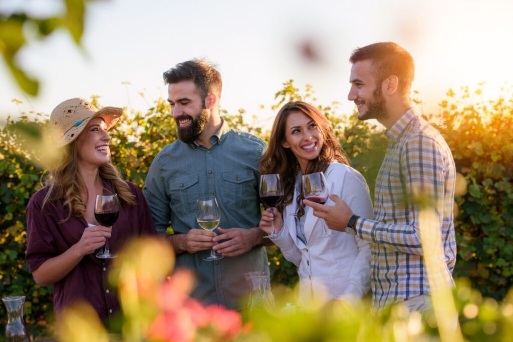 Wine tour in Adelaide