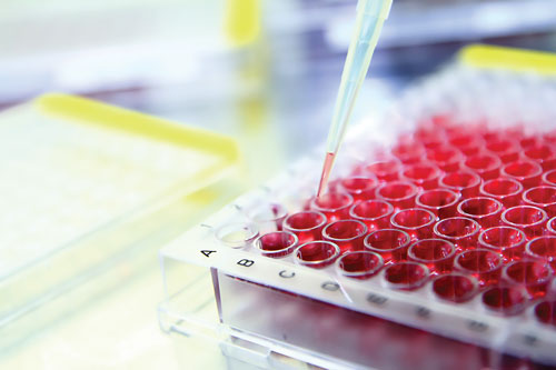 Cell-Based Assay