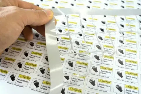 Auto Draft
