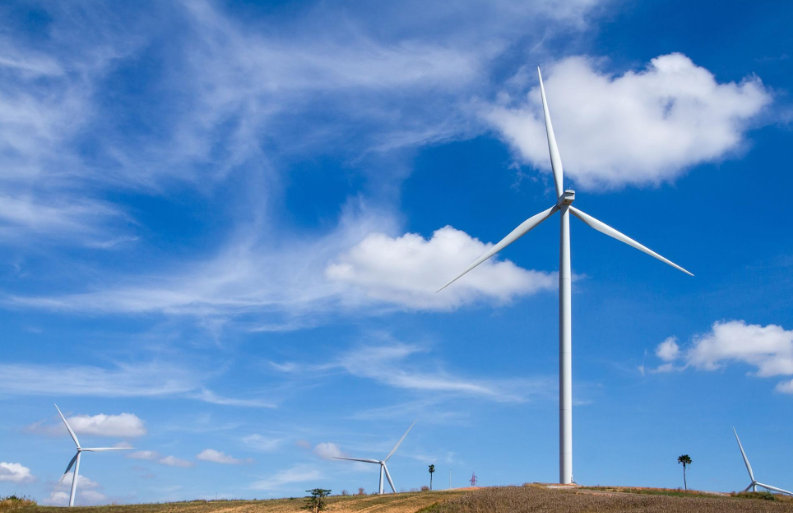 Everything You Should Know About OVO Energy Australia