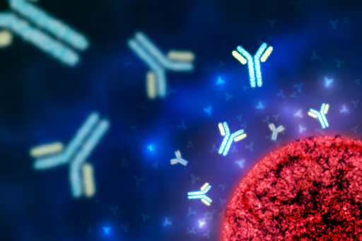 Recombinant Antibodies